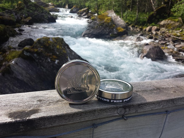 Snus als rauchfreie Nikotinalternative: Zwischen Gesundheitschance und Risiko